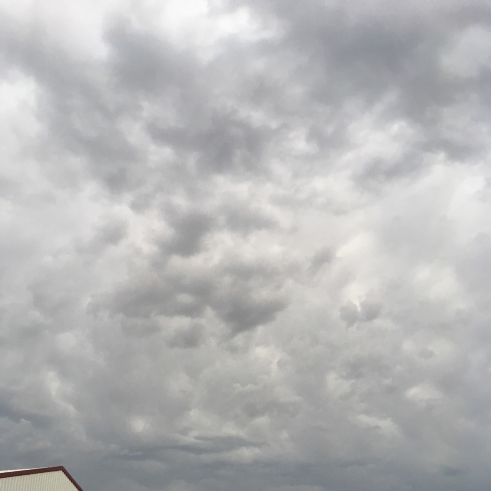 Meet your Posher, Micah